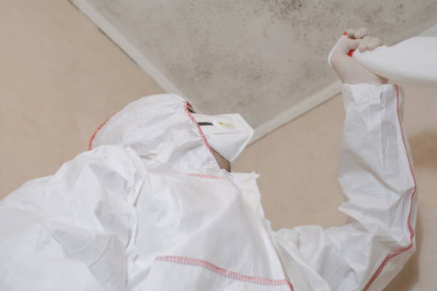 Best Crawl Space Mold Removal  in Kensington, CA